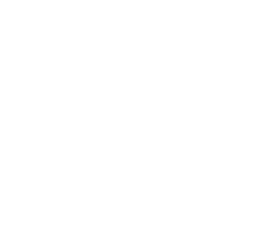 din logo